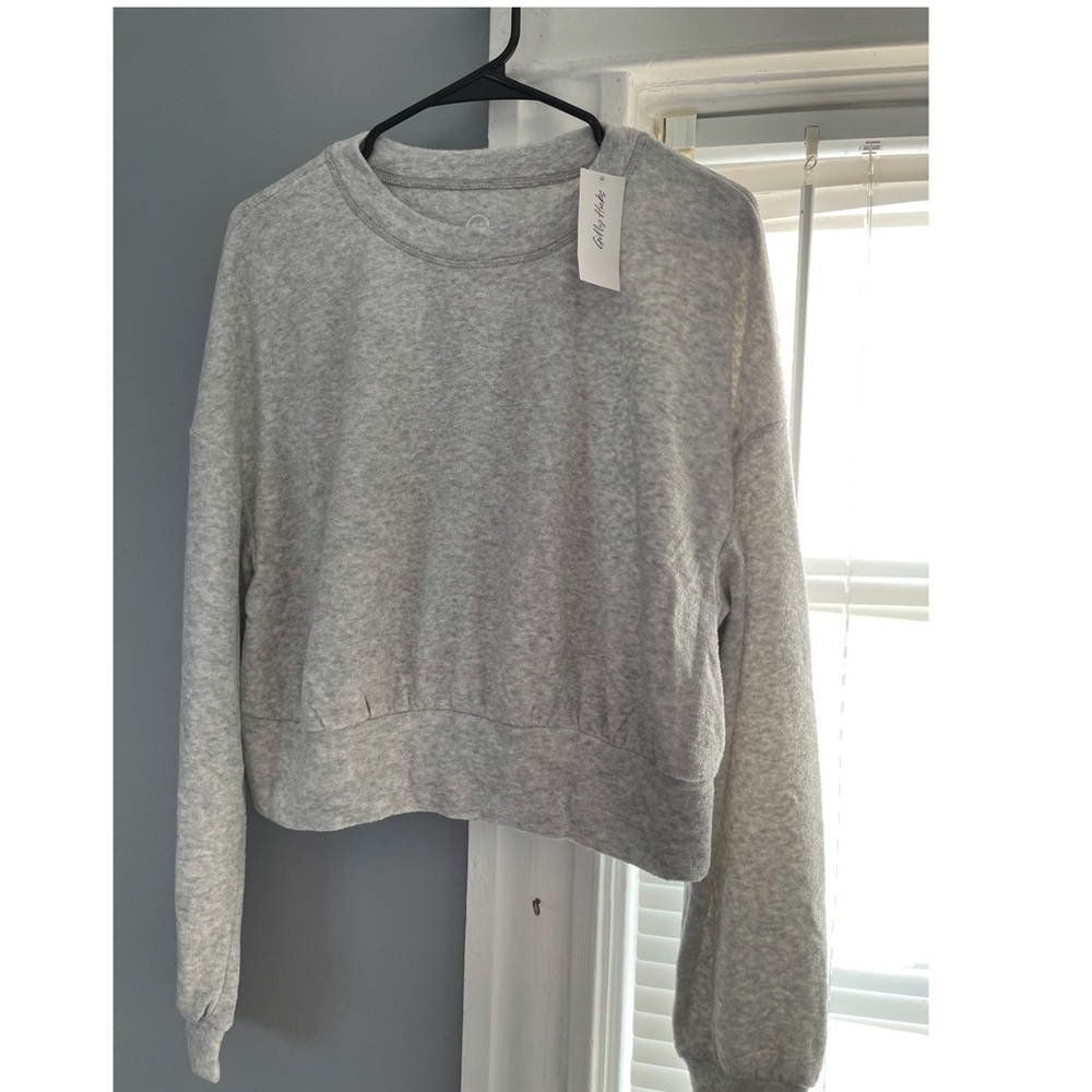 Hollister (gilly hicks) crop crewneck